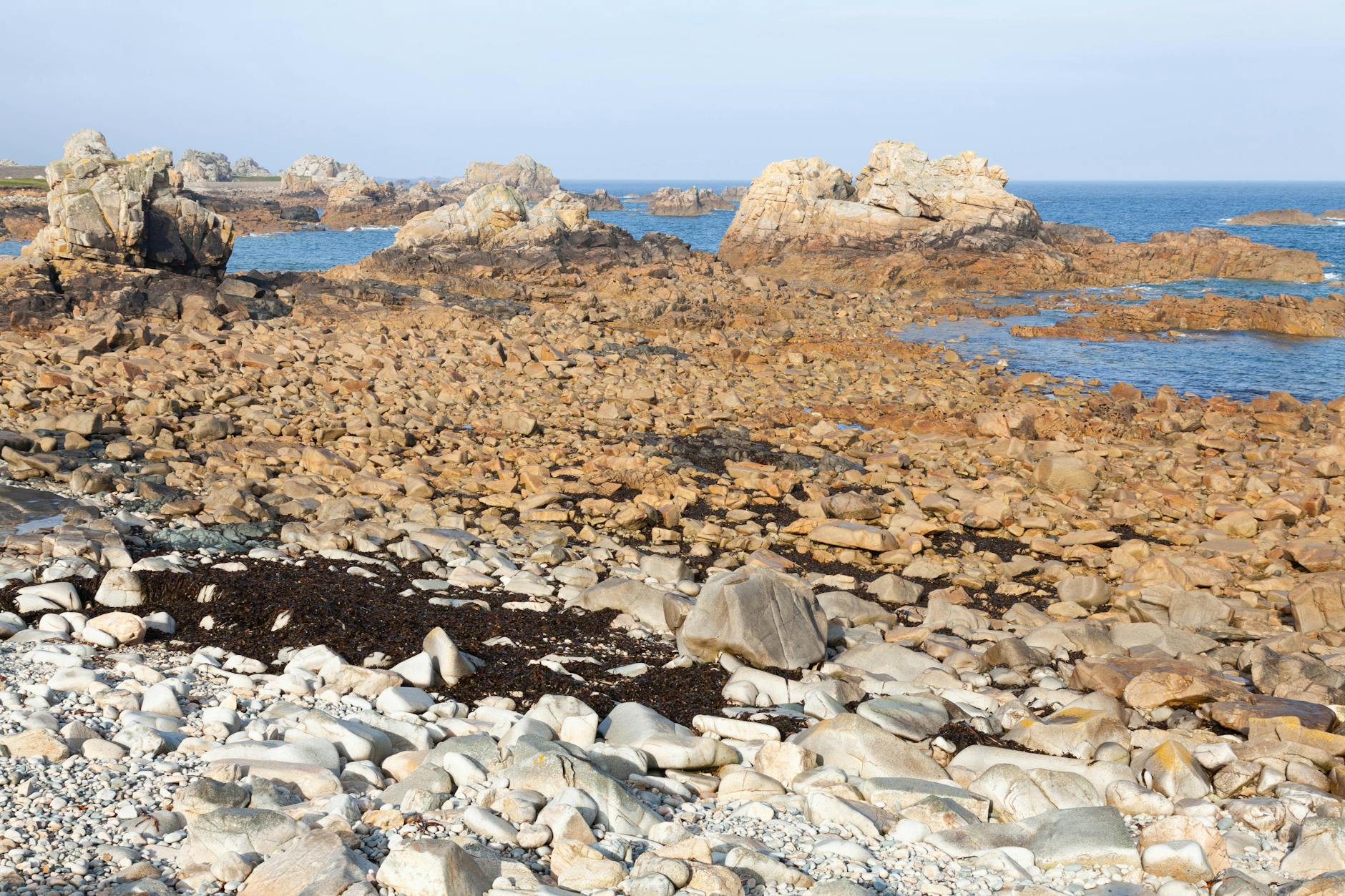 Skaliste wybrzeże Plougrescant w Bretanii z surowymi klifami nad morzem