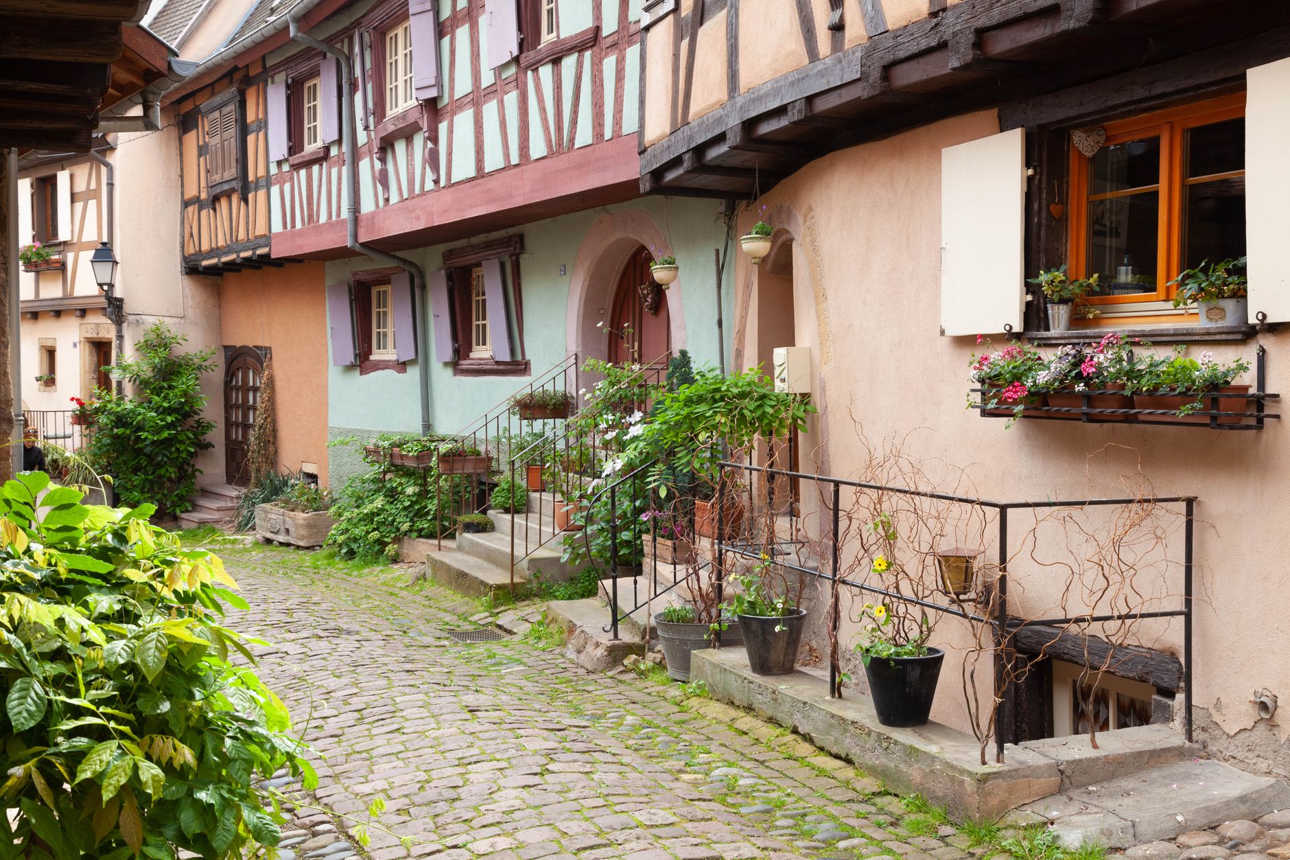Kamienista uliczka i kolorowe, ryglowe domy w Eguisheim w Alzacji